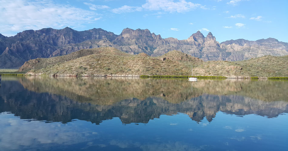 Mexico 2020: Sea of Cortez